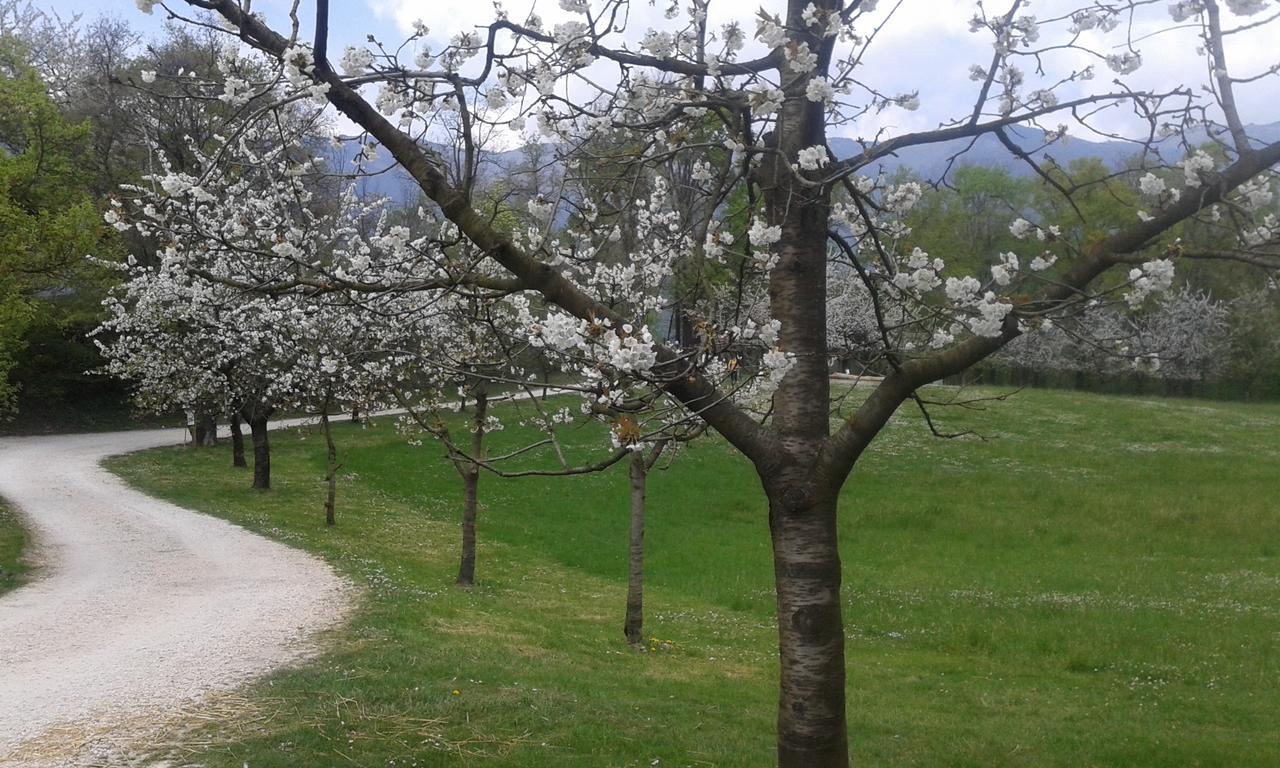 Polcenigo 帕尔科迪圣弗洛里亚诺旅舍旅舍 外观 照片